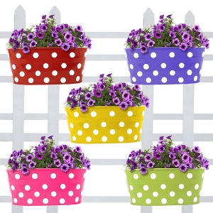 TrustBasket Metal Railing Planters, Multicolour, 12.2 X 6 X 5 inch, Pack of 5