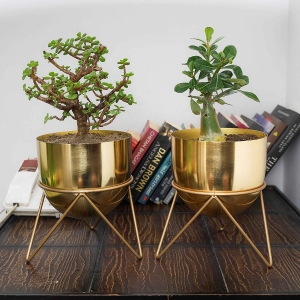 HomeShastra® Premium Gold Pot Metal Planter with Stand | Pack of 2 | 8 Inch (Height) by 6 inch (Dia) | Planter for Living Room and Bedroom Interior Design | Best Decor Gift